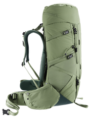 Grove Ivy