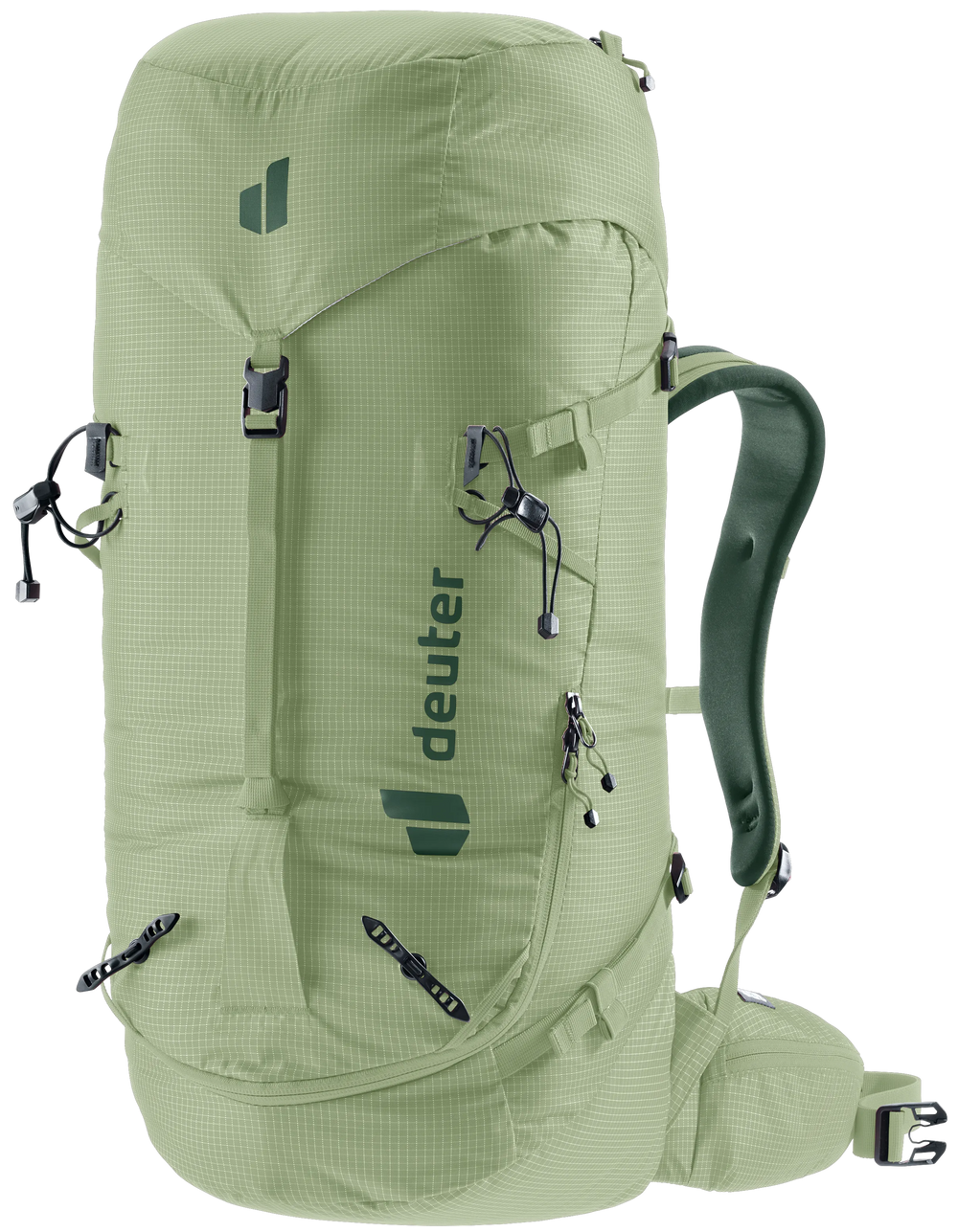 Grove Ivy