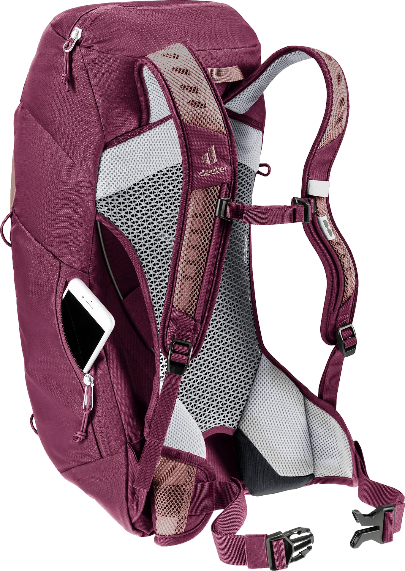 Ashrose Cassis