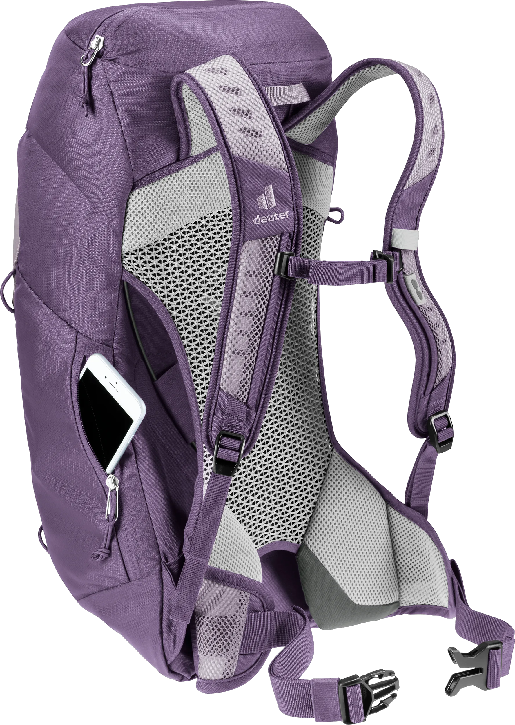 Lavender Purple