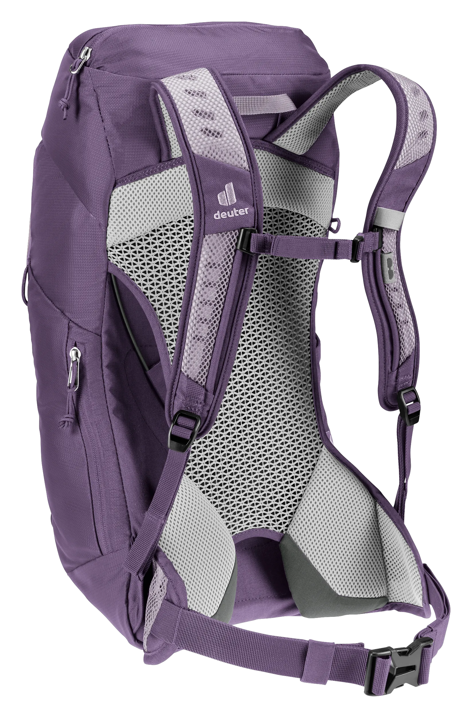 Lavender Purple