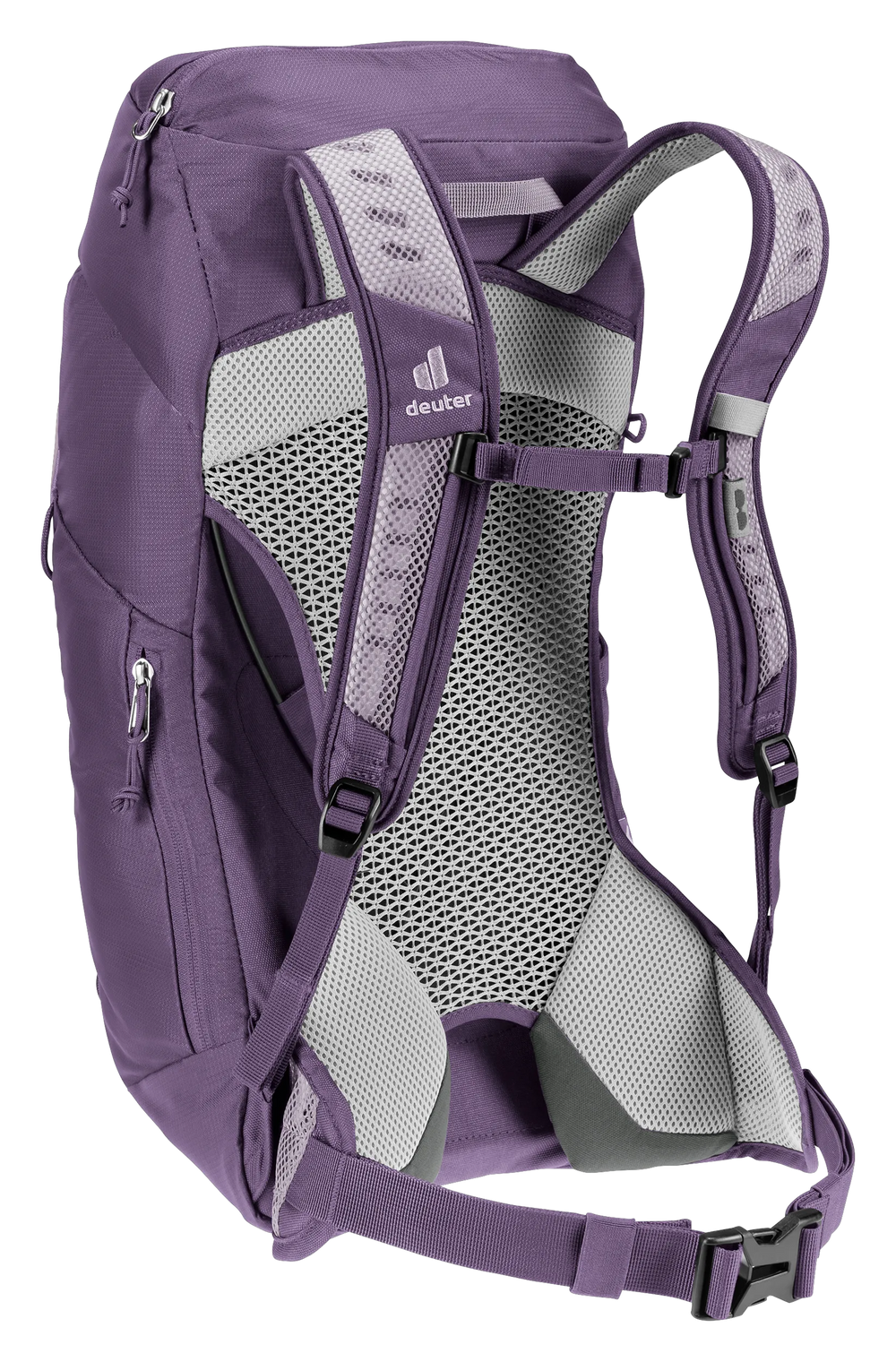 Lavender Purple