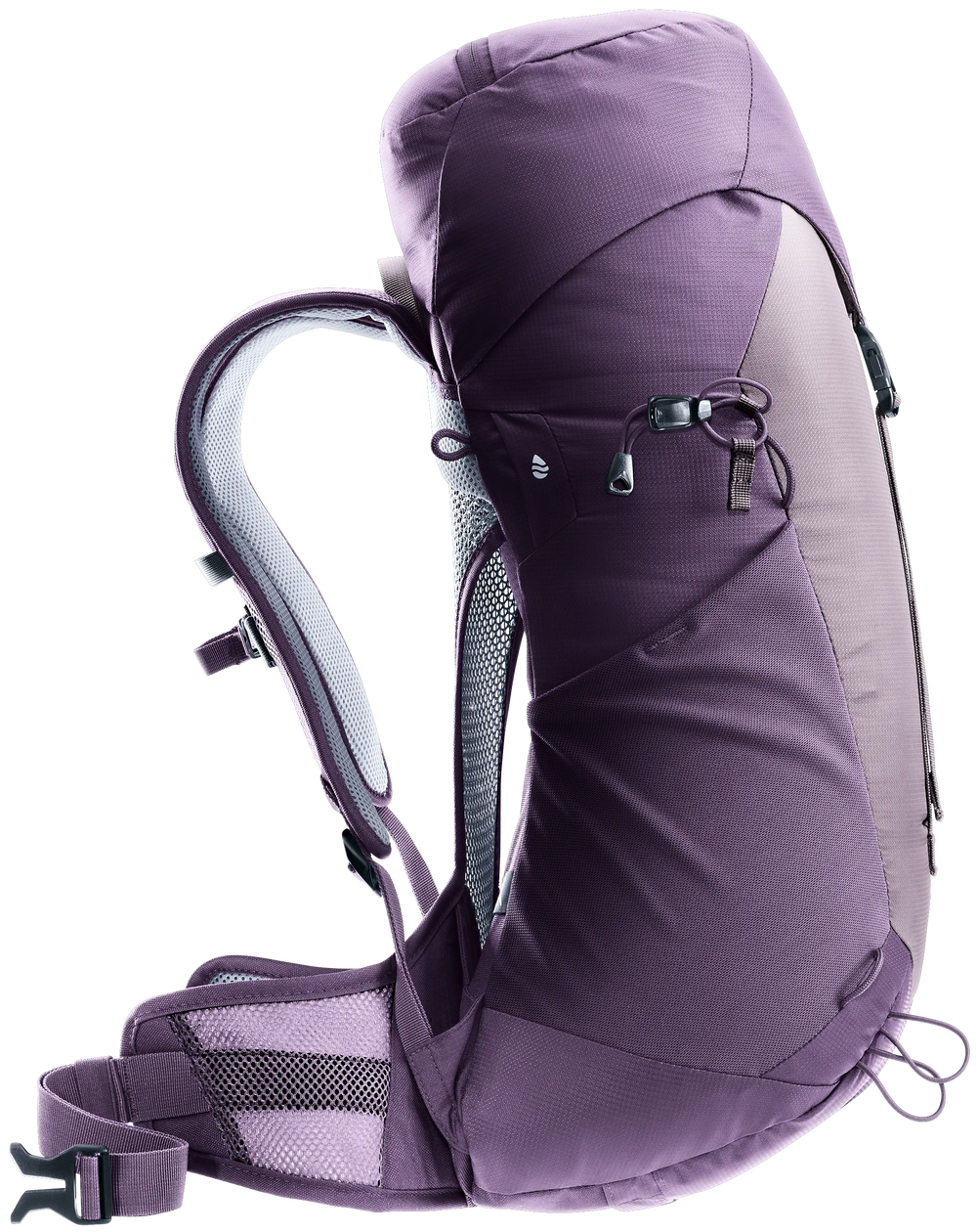 Lavender Purple