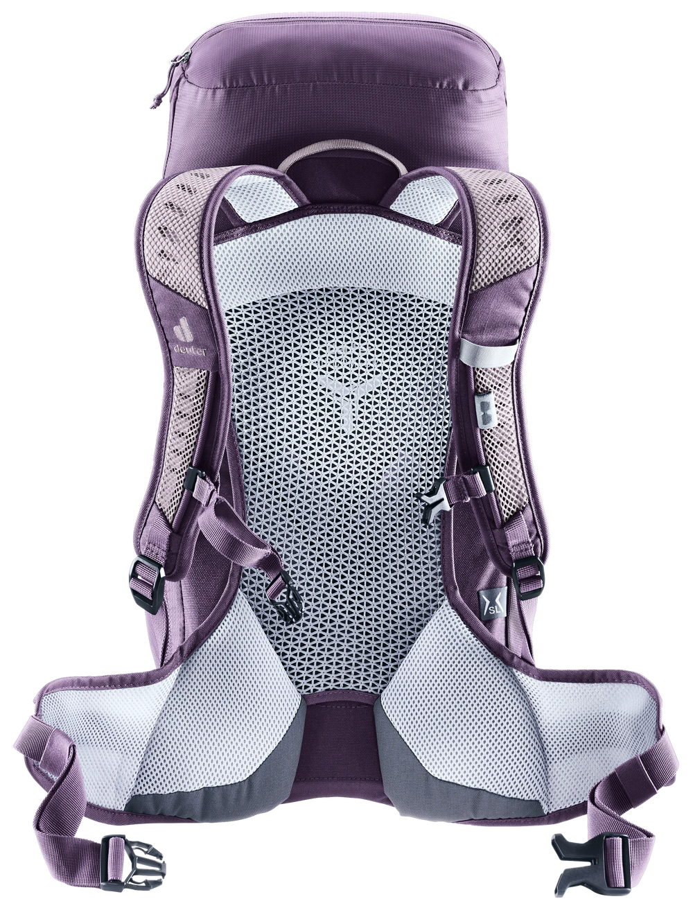 Lavender Purple
