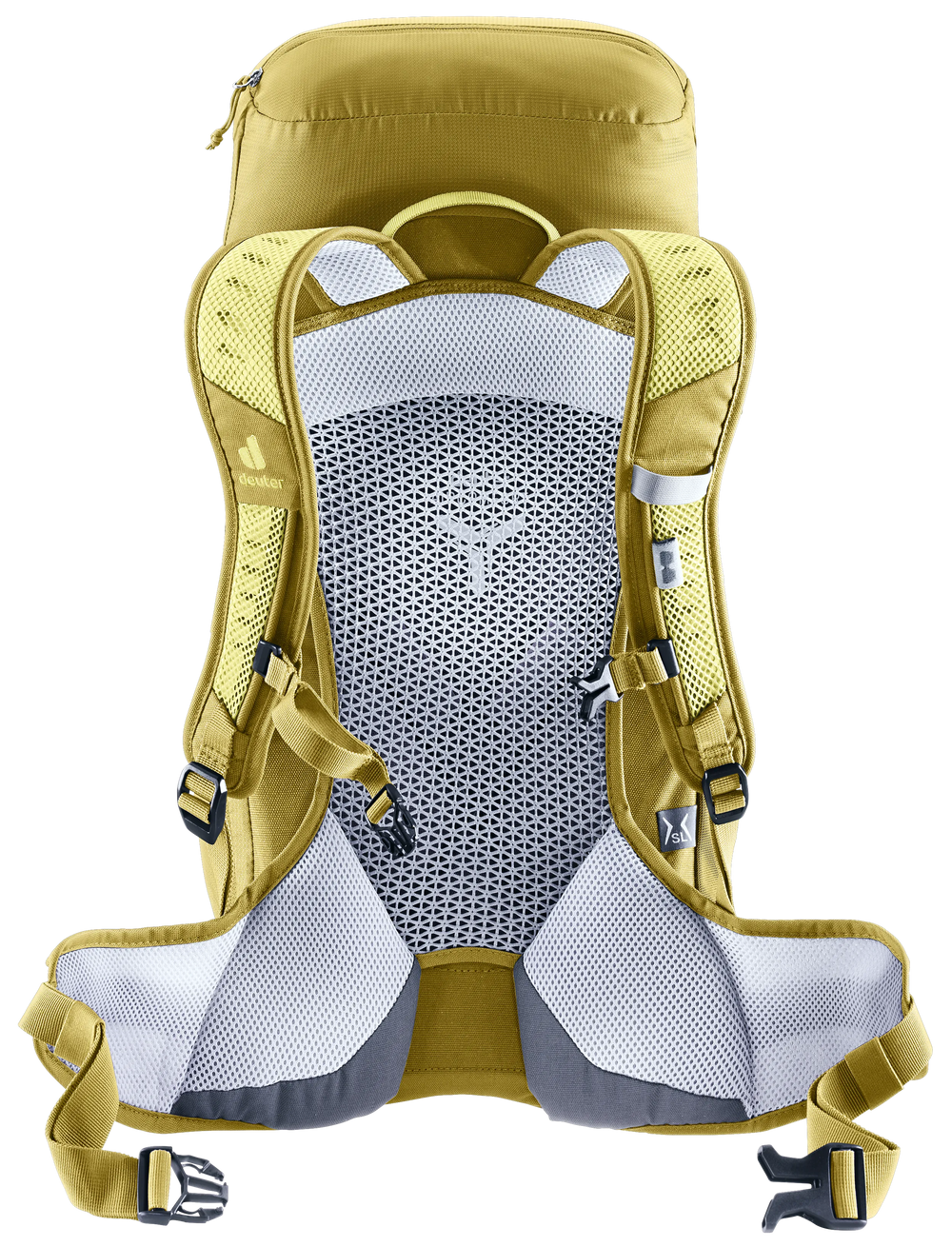Sprout Linden