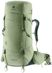 Grove Ivy
