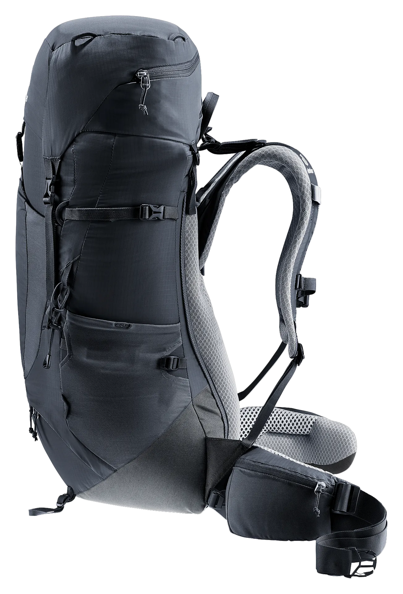 Black Graphite