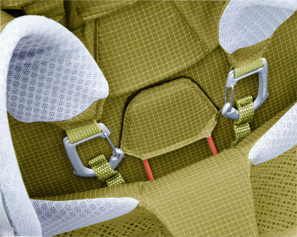 Linden Sprout