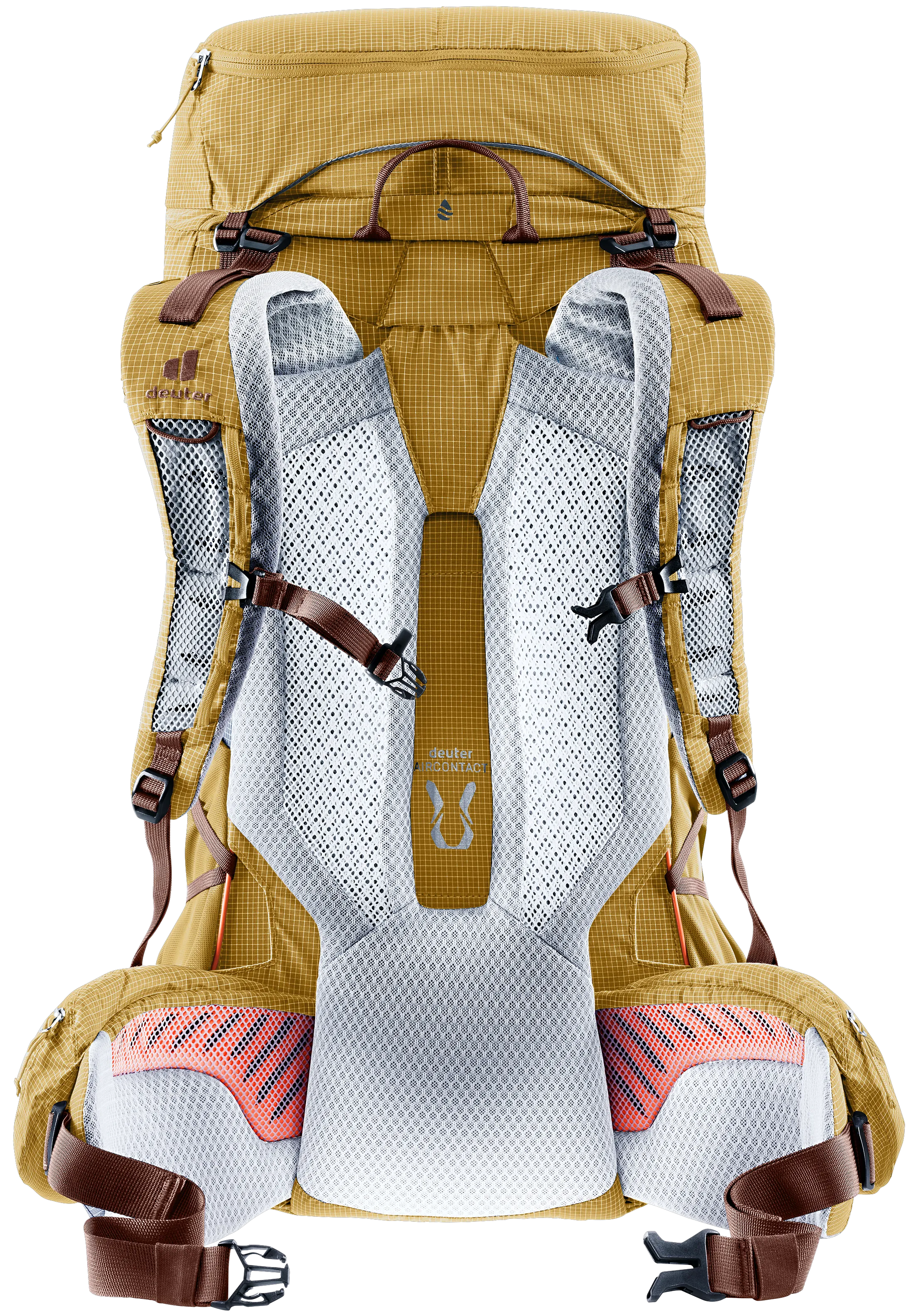 Savanna Raisin