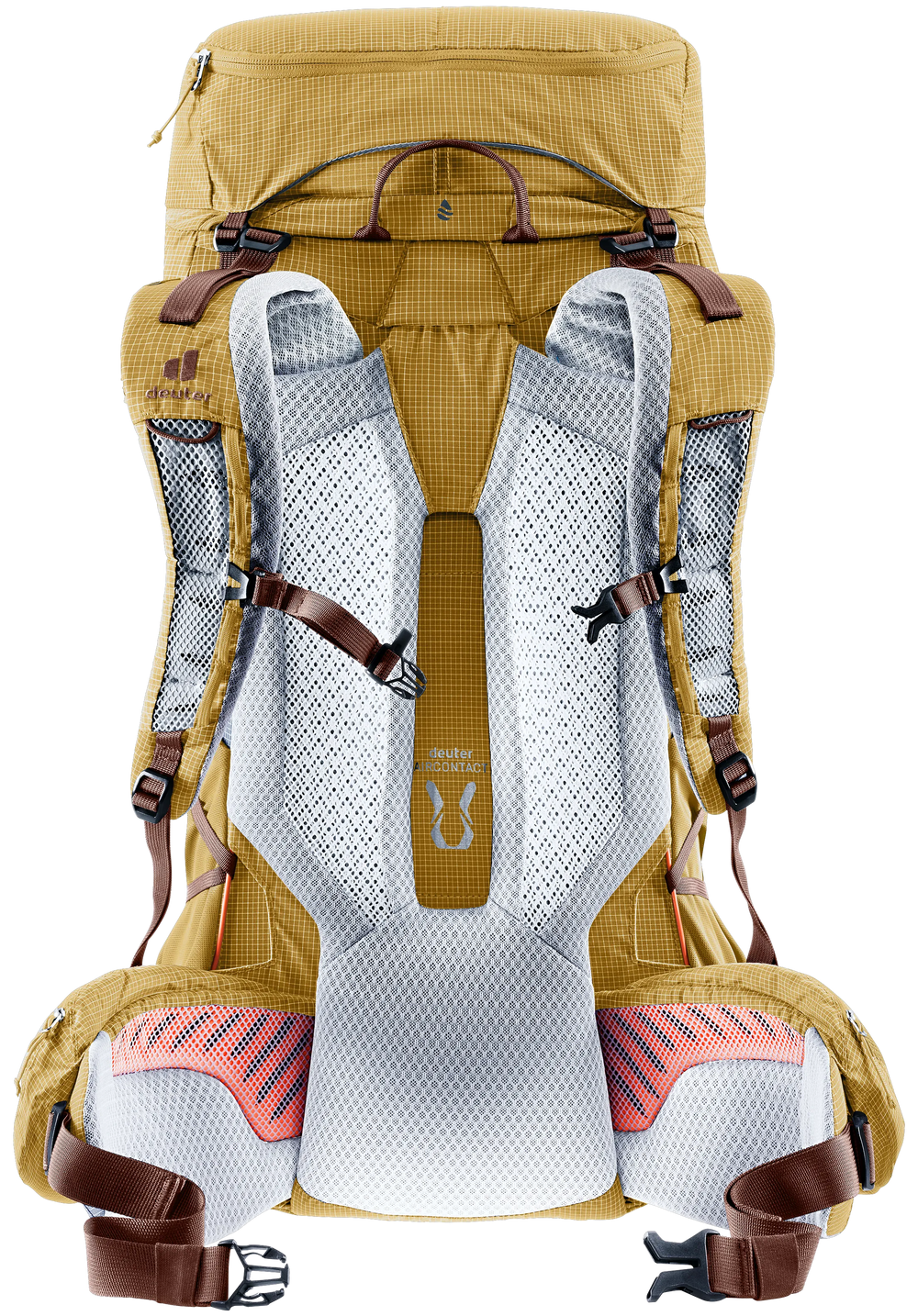 Savanna Raisin