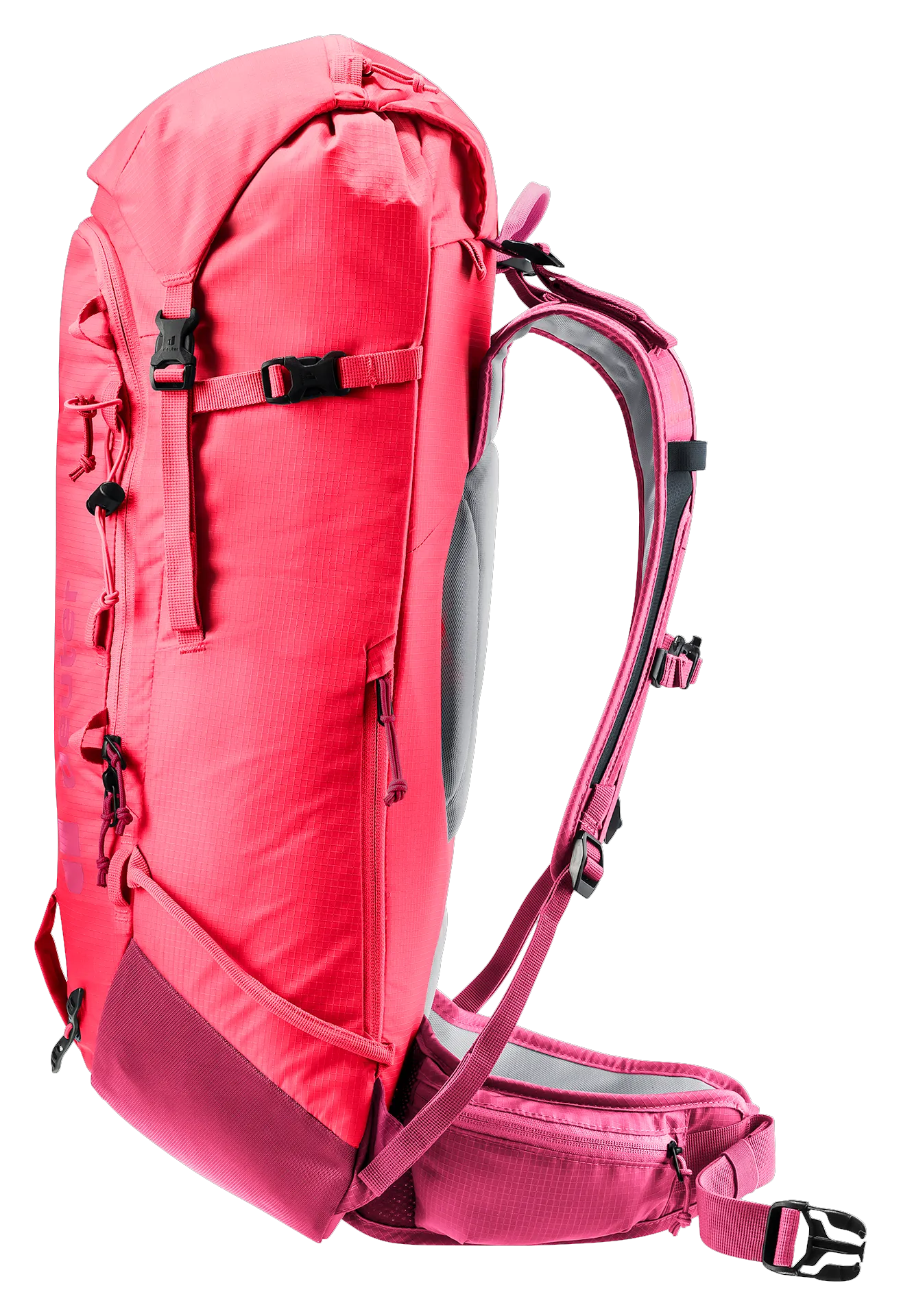 Hibiscus Ruby