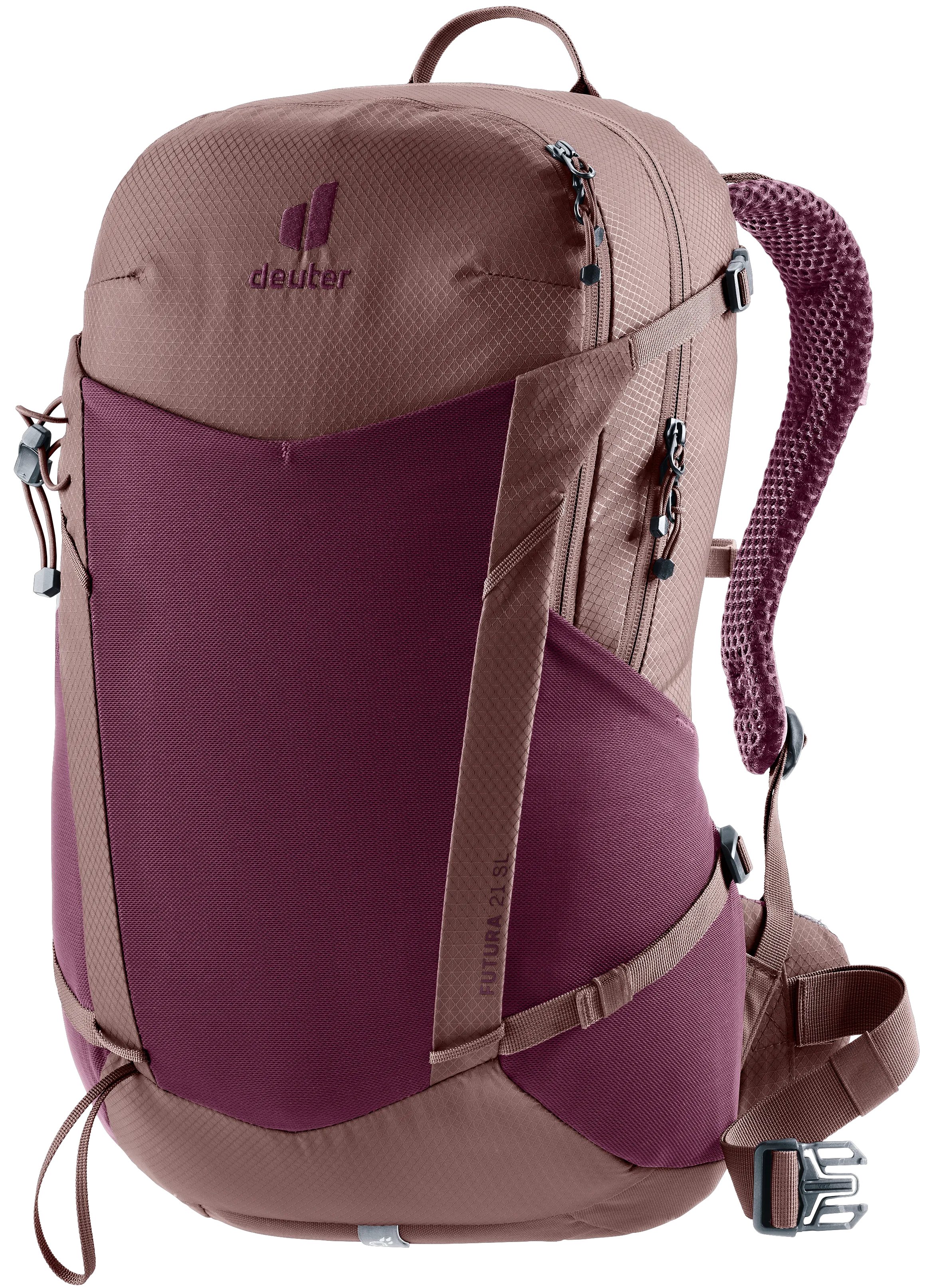 Cassis Ashrose