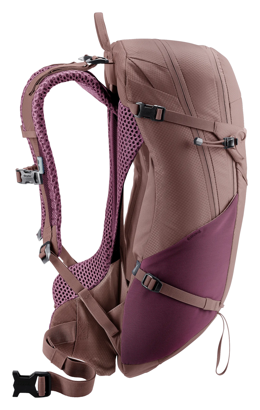 Cassis Ashrose