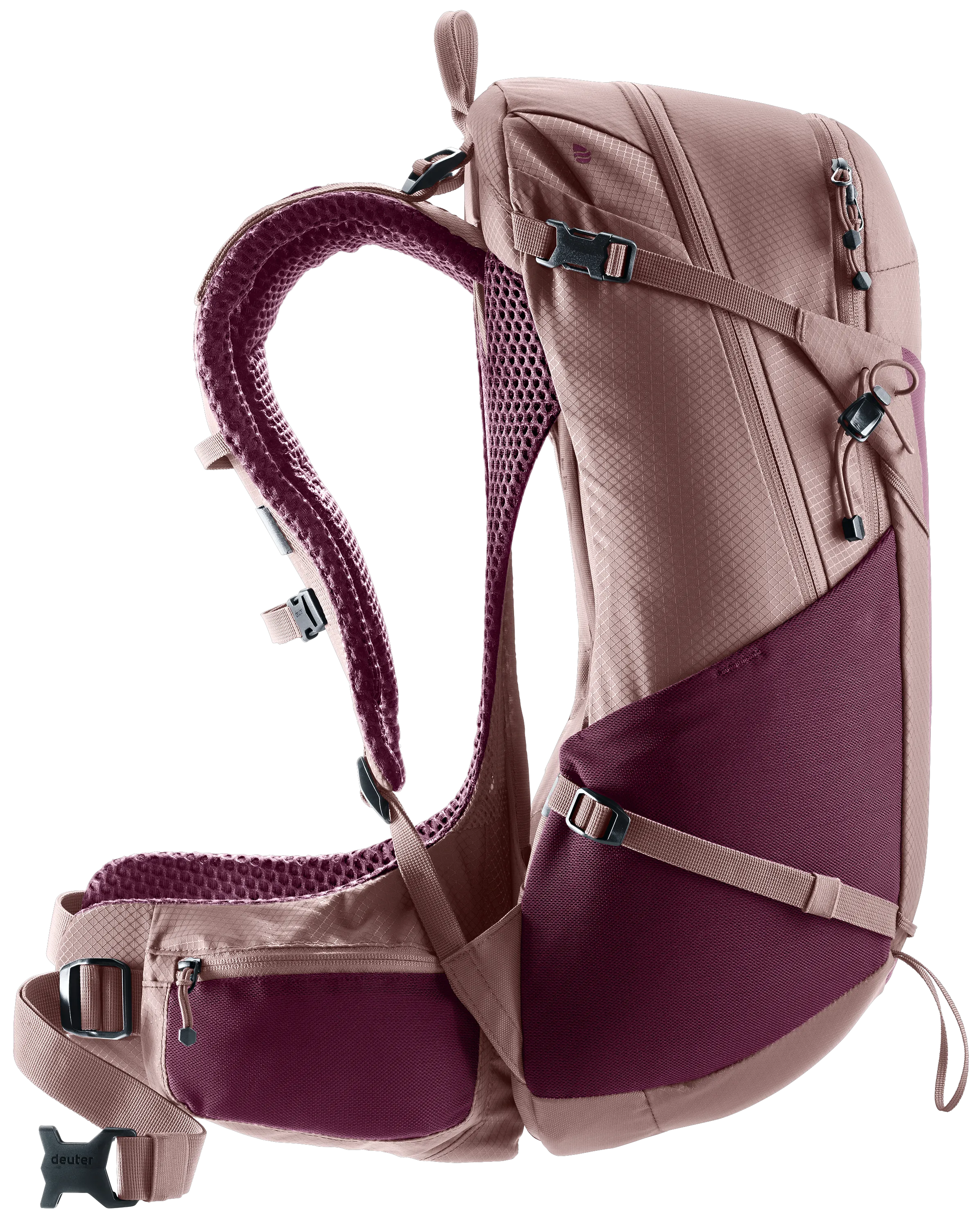Cassis Ashrose