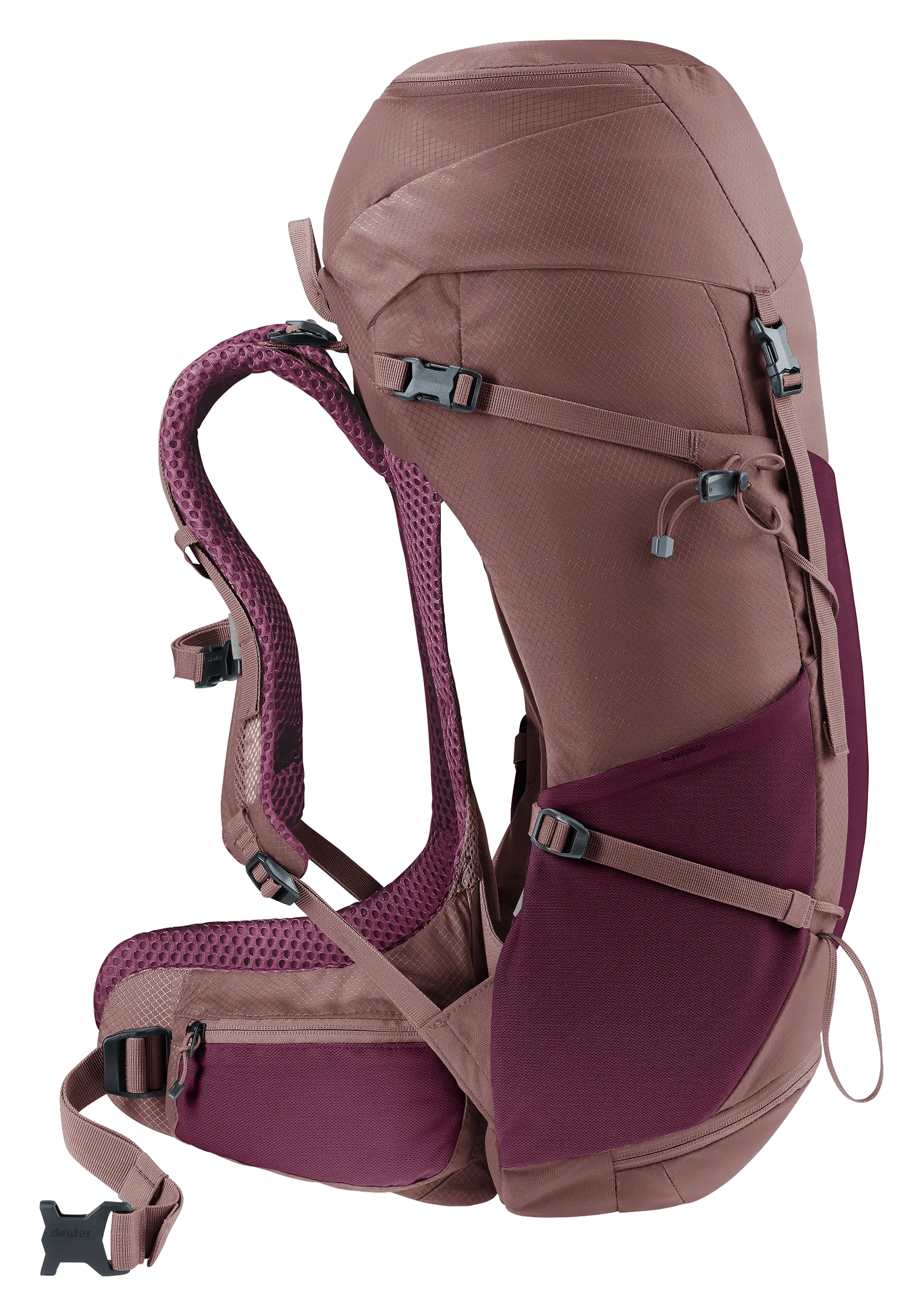 Cassis Ashrose