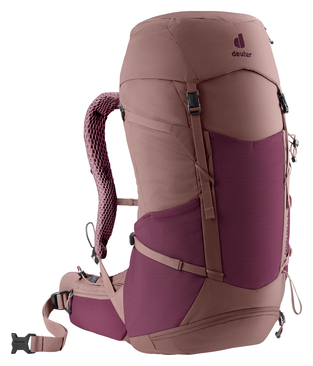 Cassis Ashrose