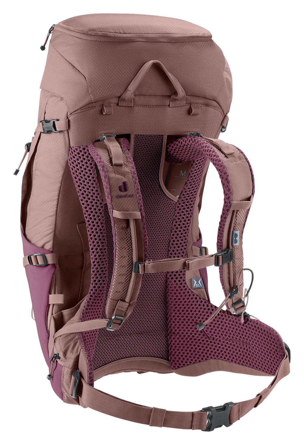 Cassis Ashrose