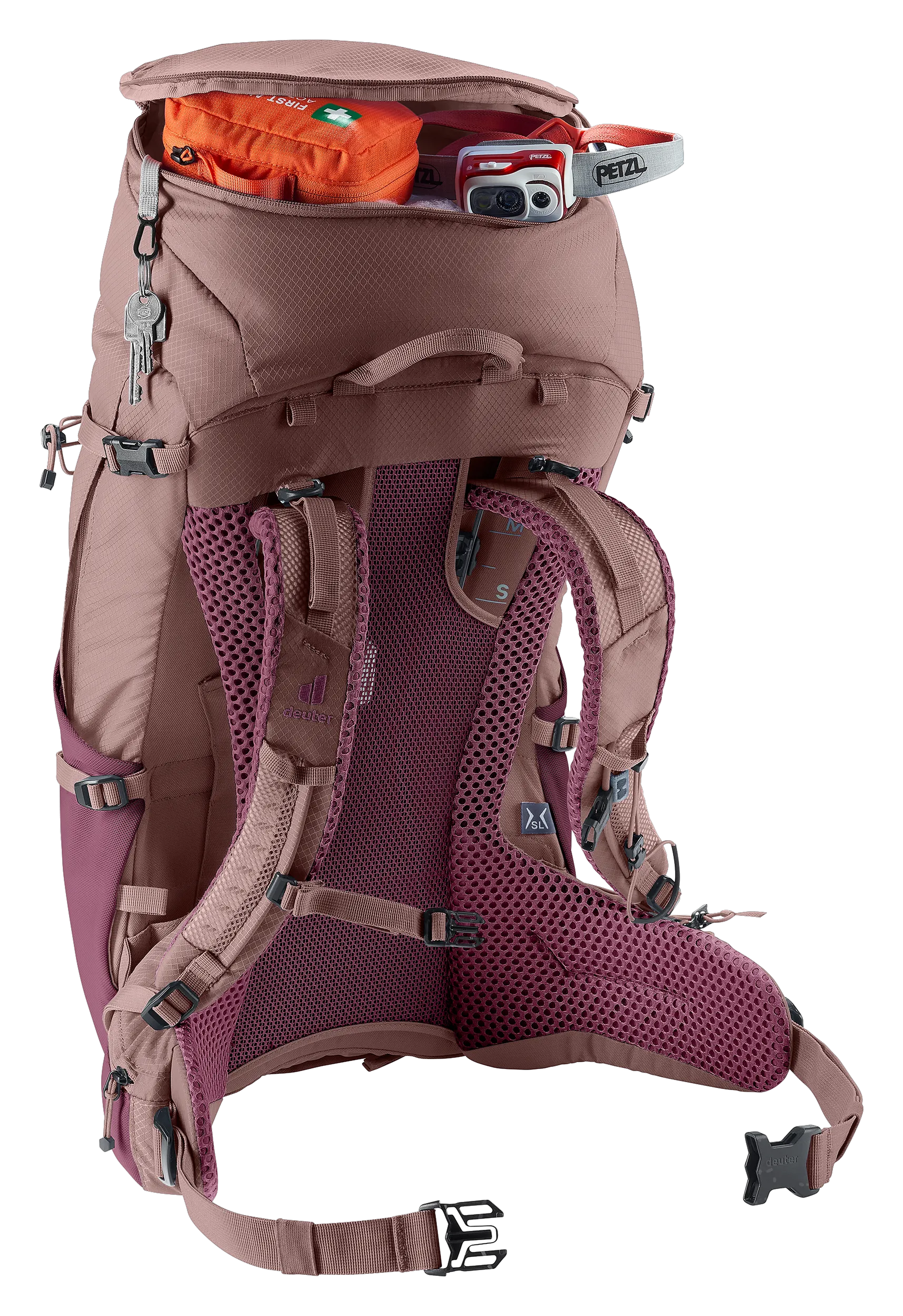 Cassis Ashrose