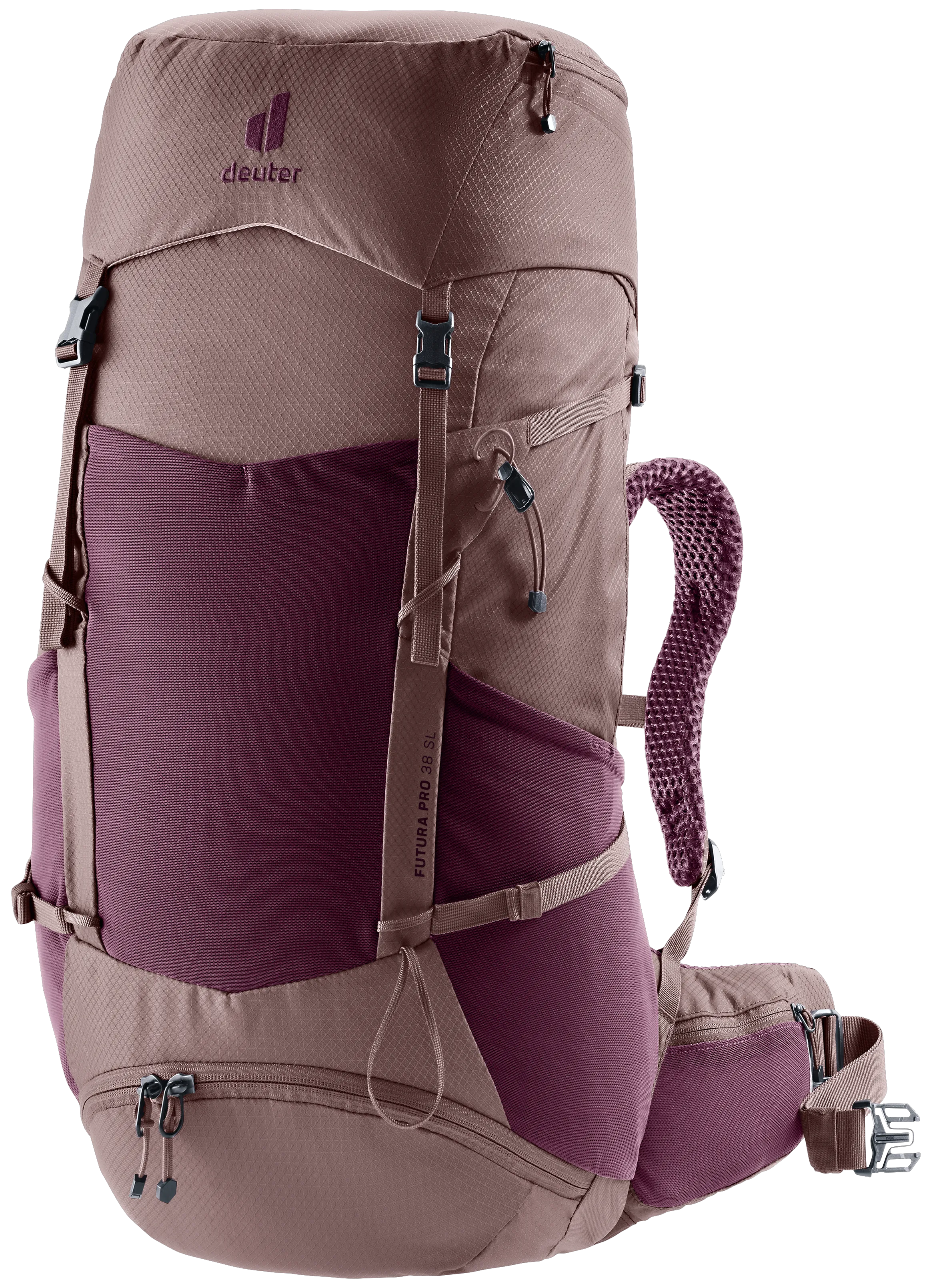 Cassis Ashrose