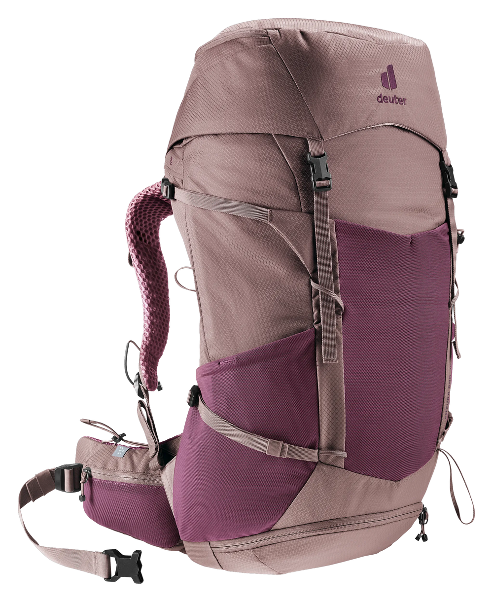 Cassis Ashrose