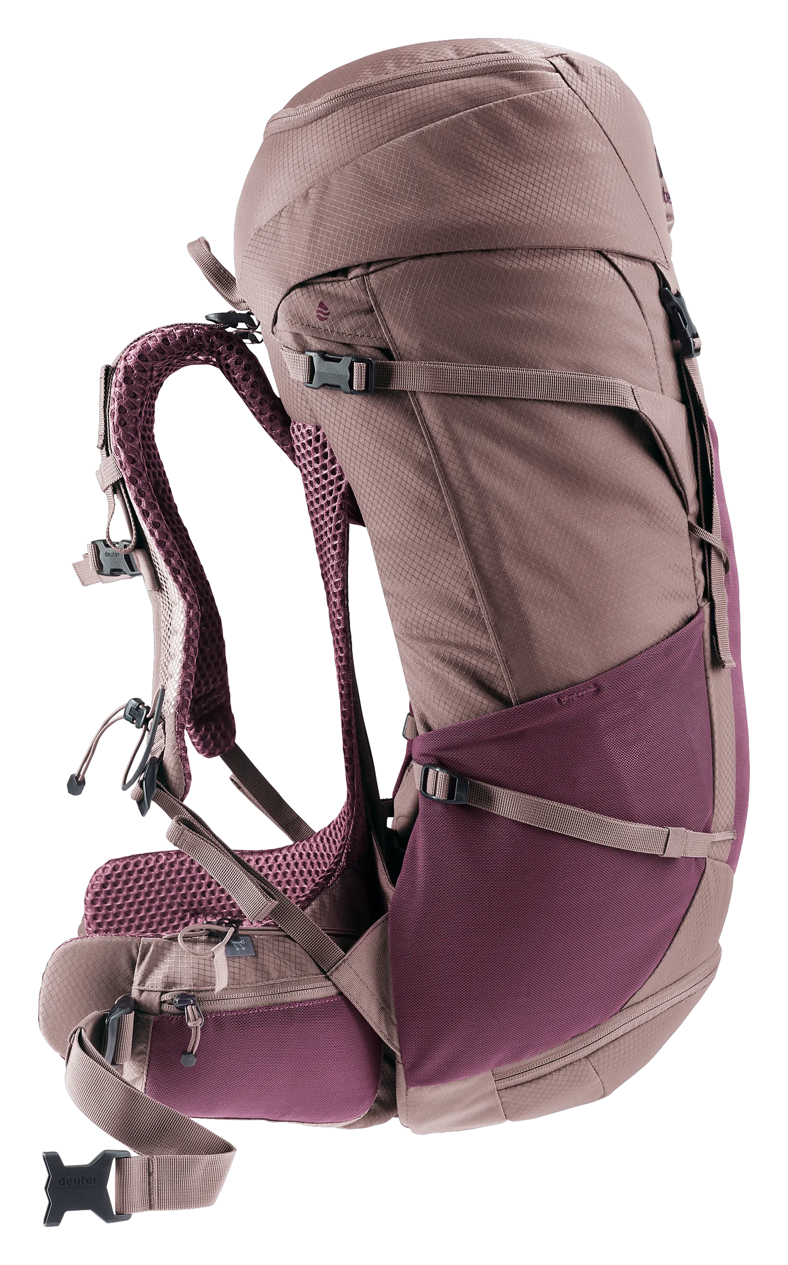 Cassis Ashrose