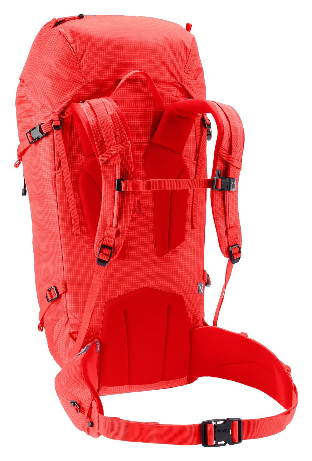 Poppy Crimson