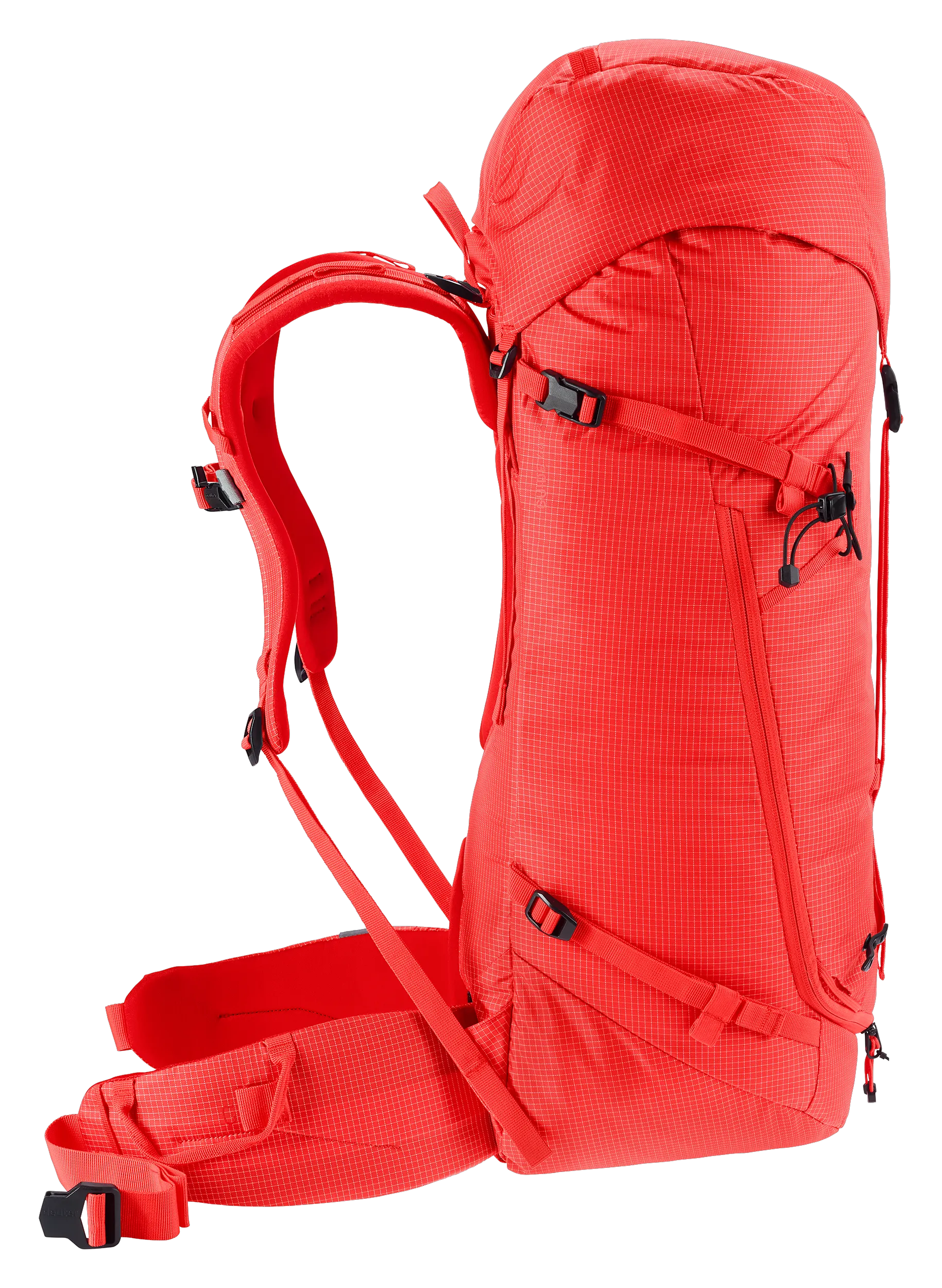 Poppy Crimson