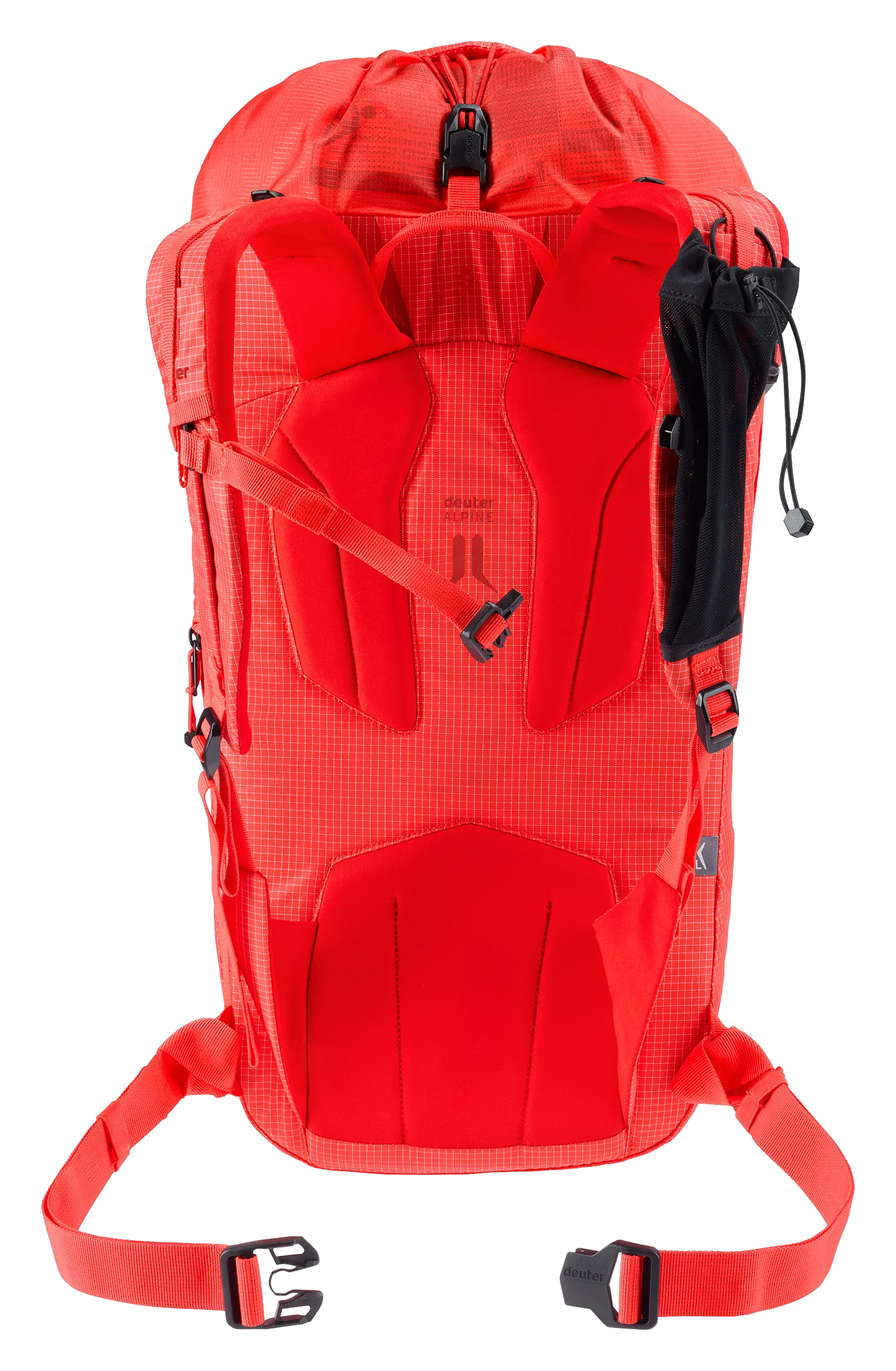 Poppy Crimson