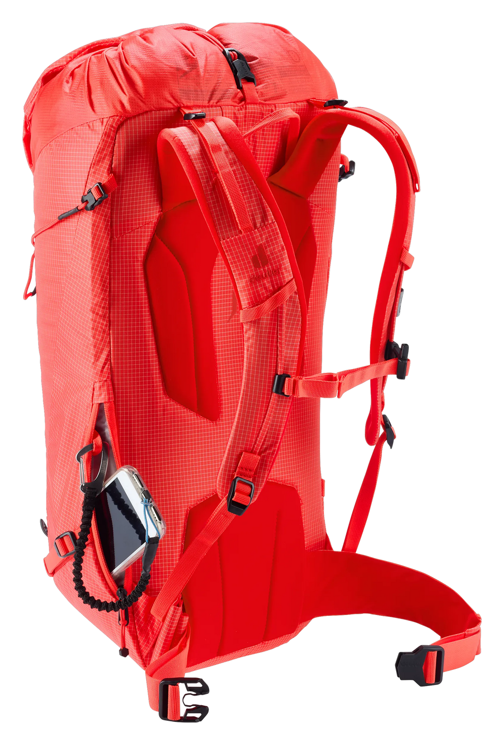Poppy Crimson