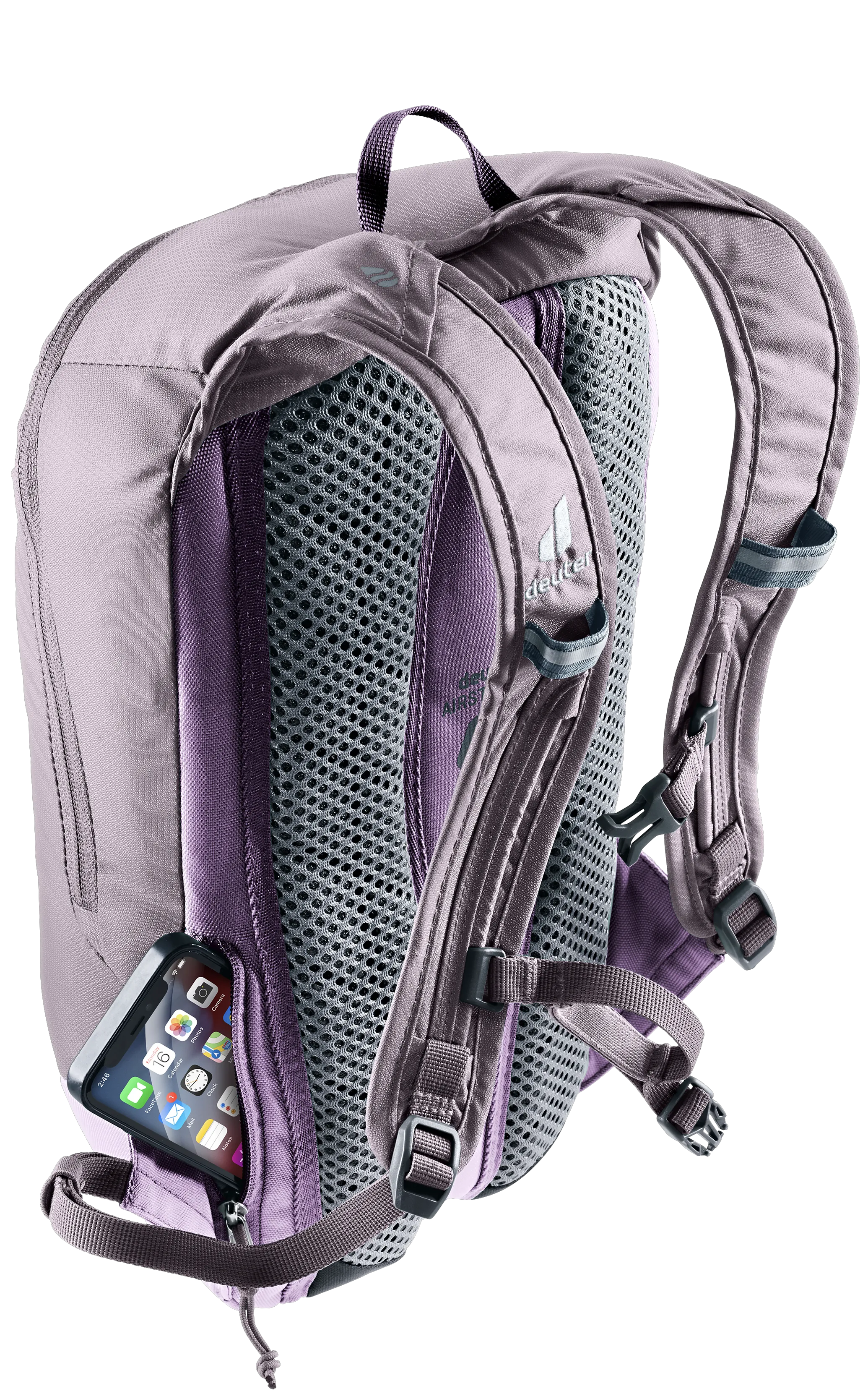 Lavender Purple