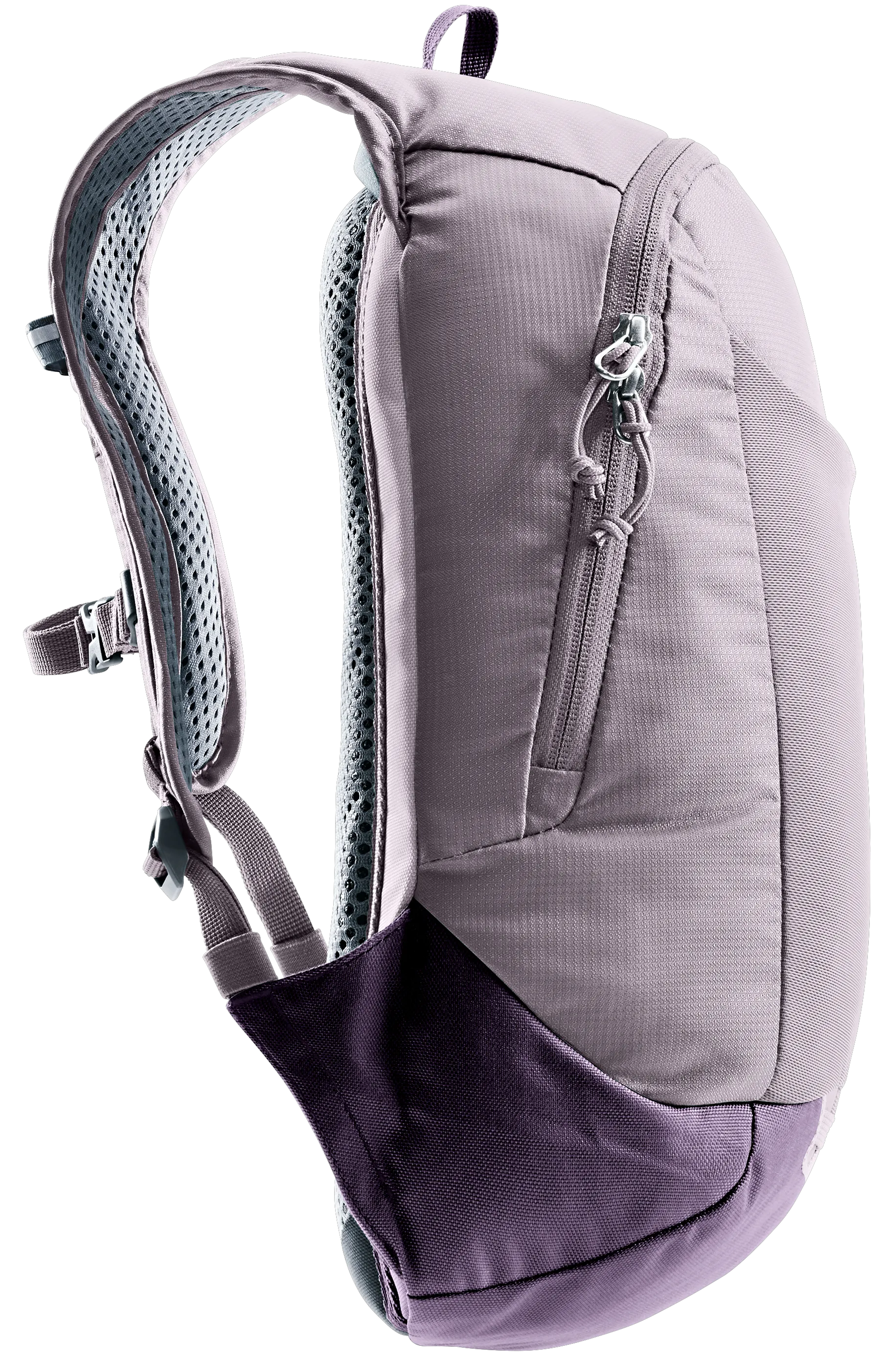 Lavender Purple