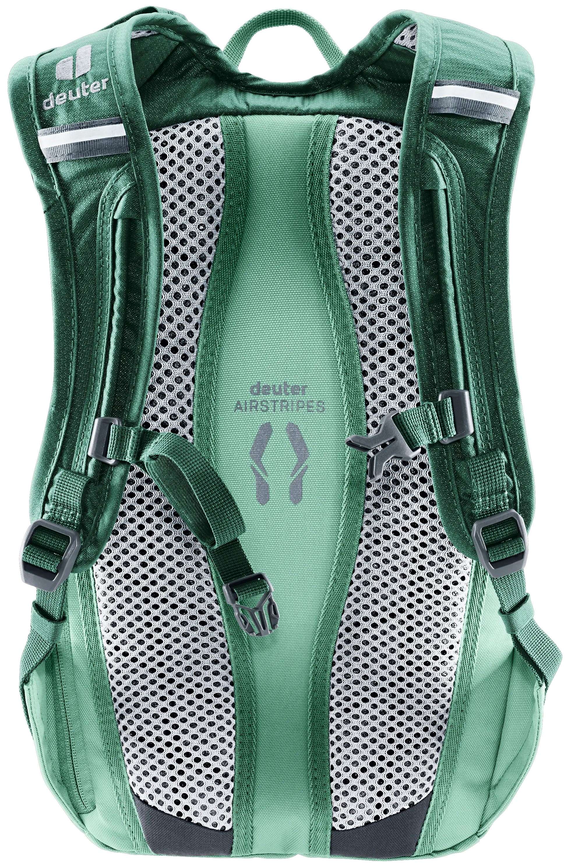 Seagreen Spearmint