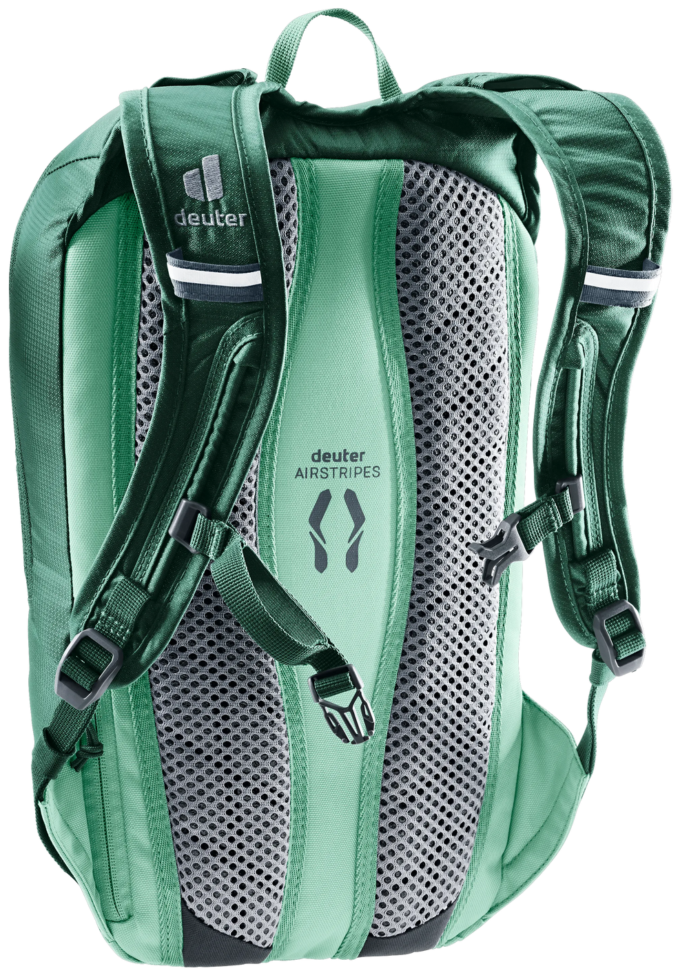 Seagreen Spearmint