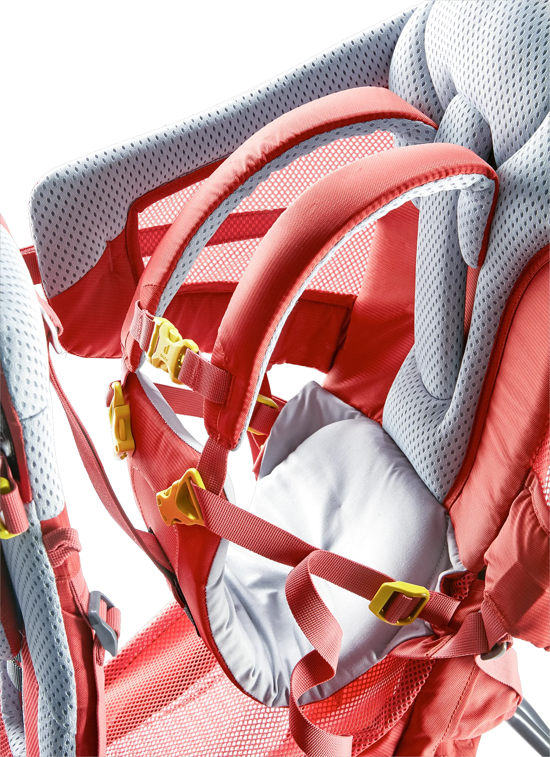 Currant