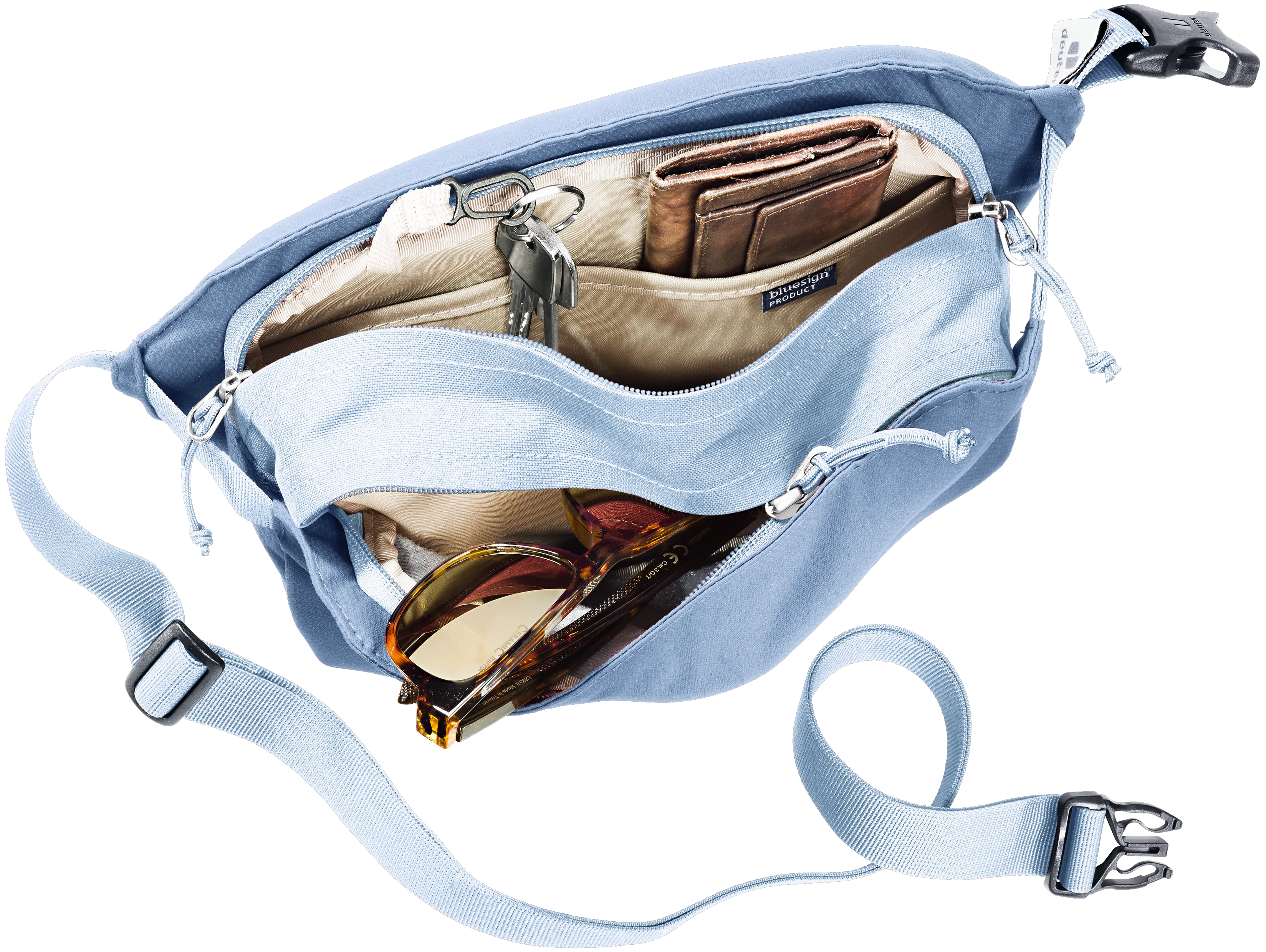 Bluejay Polar