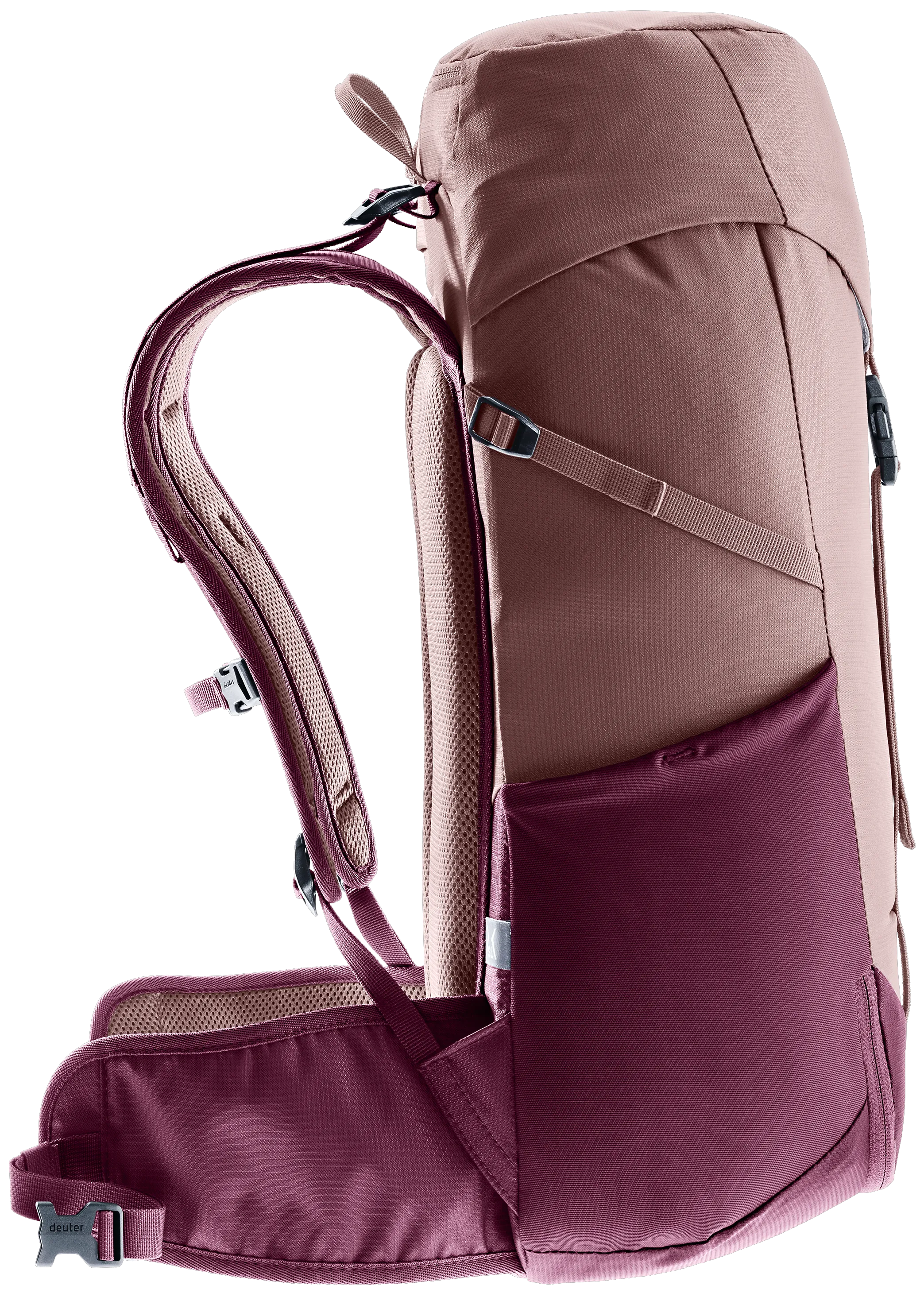 Ashrose Cassis